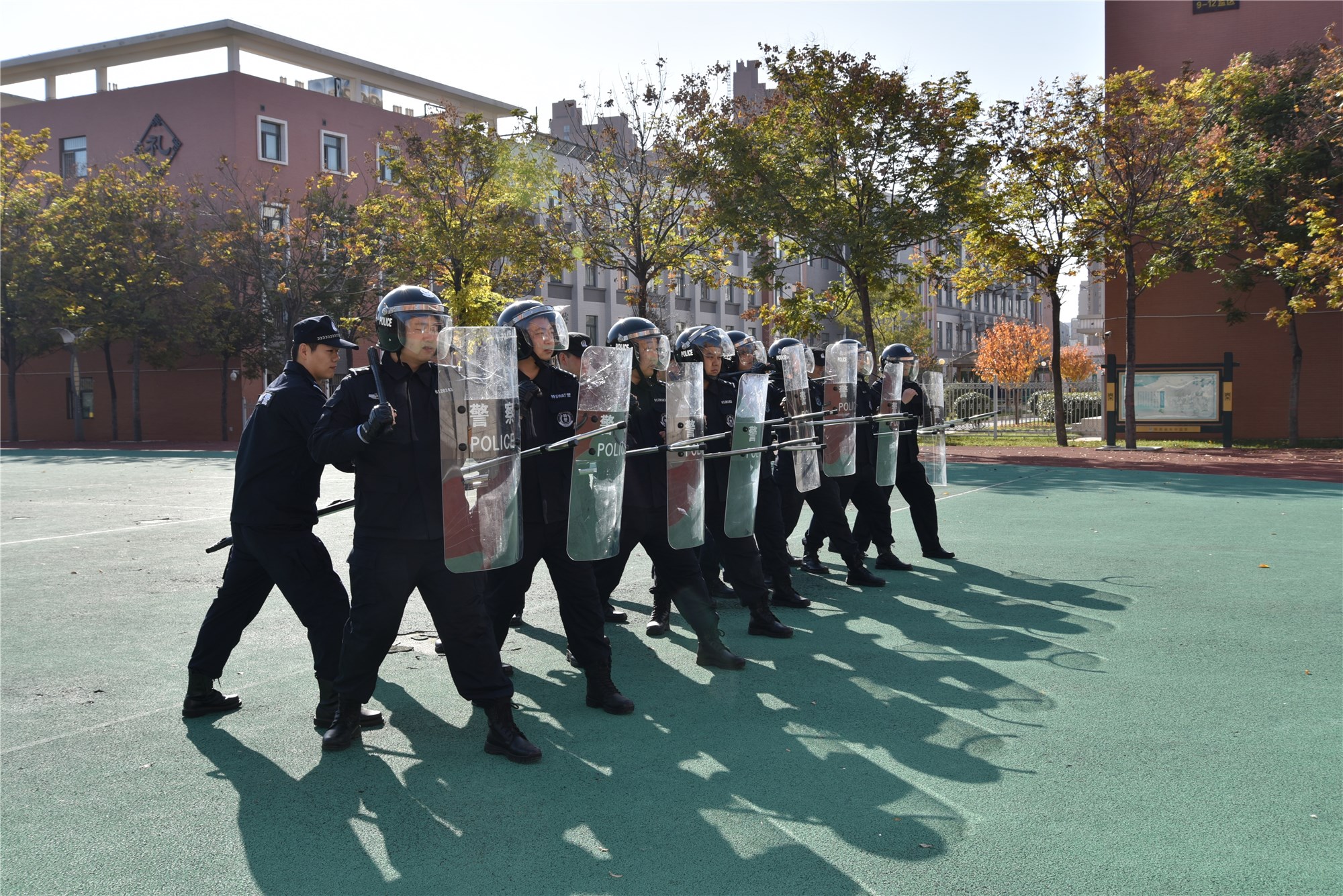 DSC_3833.JPG